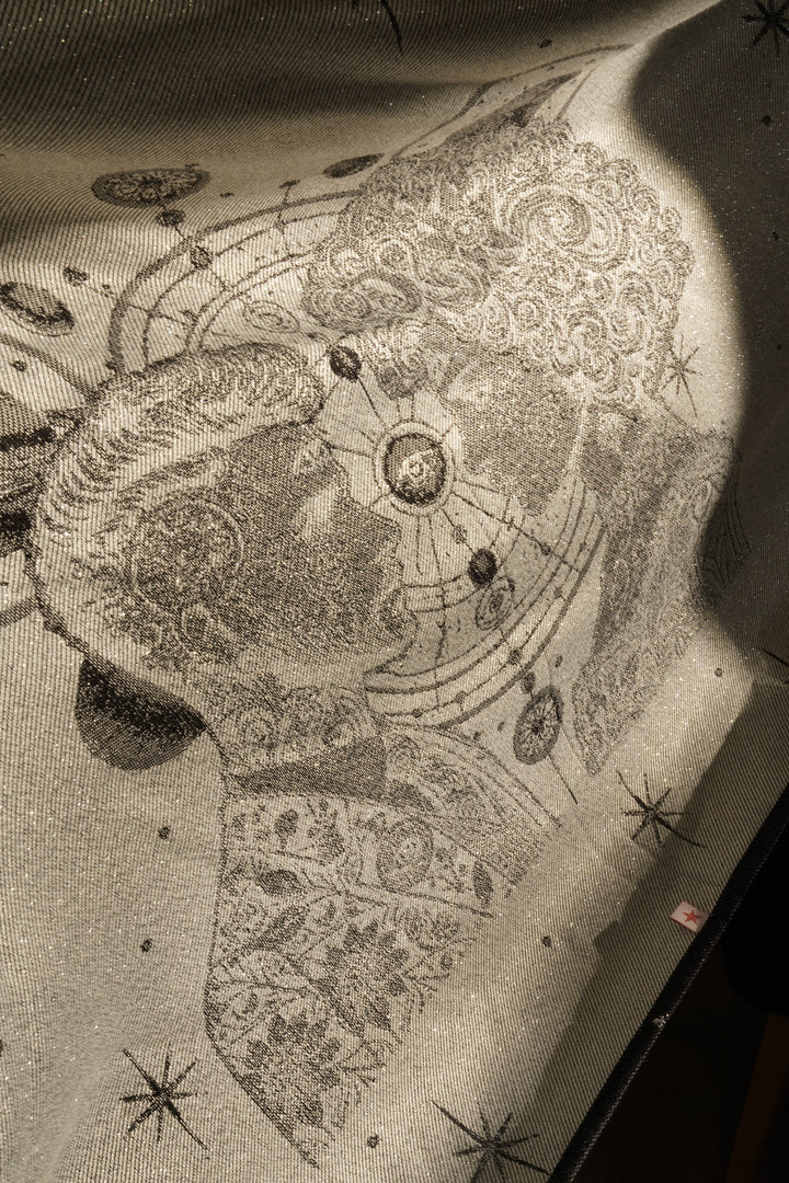 Flip Véga et Altaïr