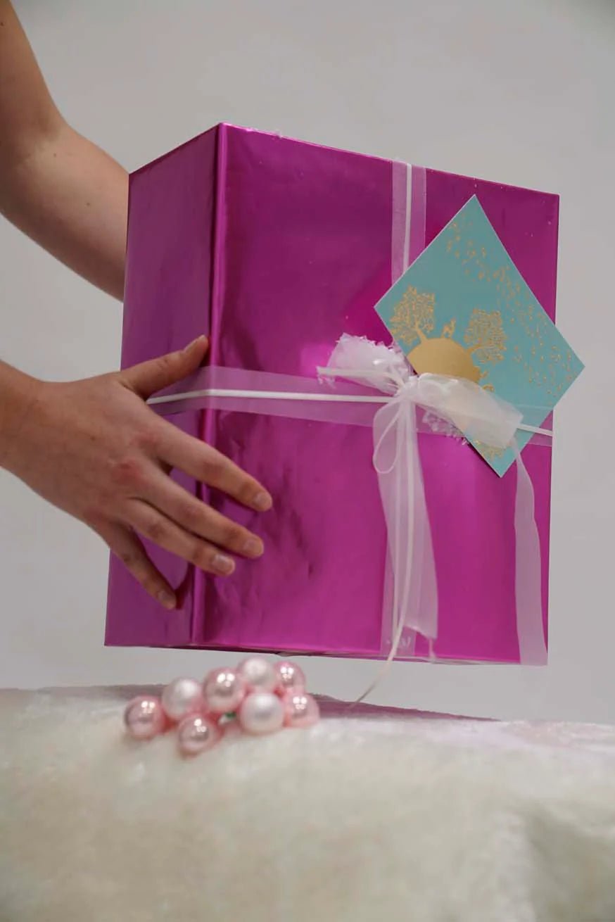 Certification conseillère spécialisée en portage - service de prêt - KOKADI